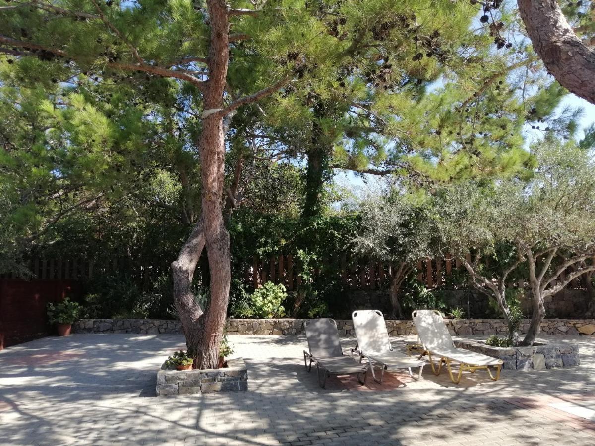 Ferma Solaris Apartments Agia Fotia  Exterior foto
